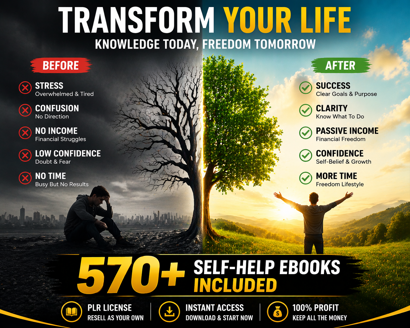 🚀 Ultimate Digital Business Bundle – 570+ PLR eBooks + 70+ Video Courses